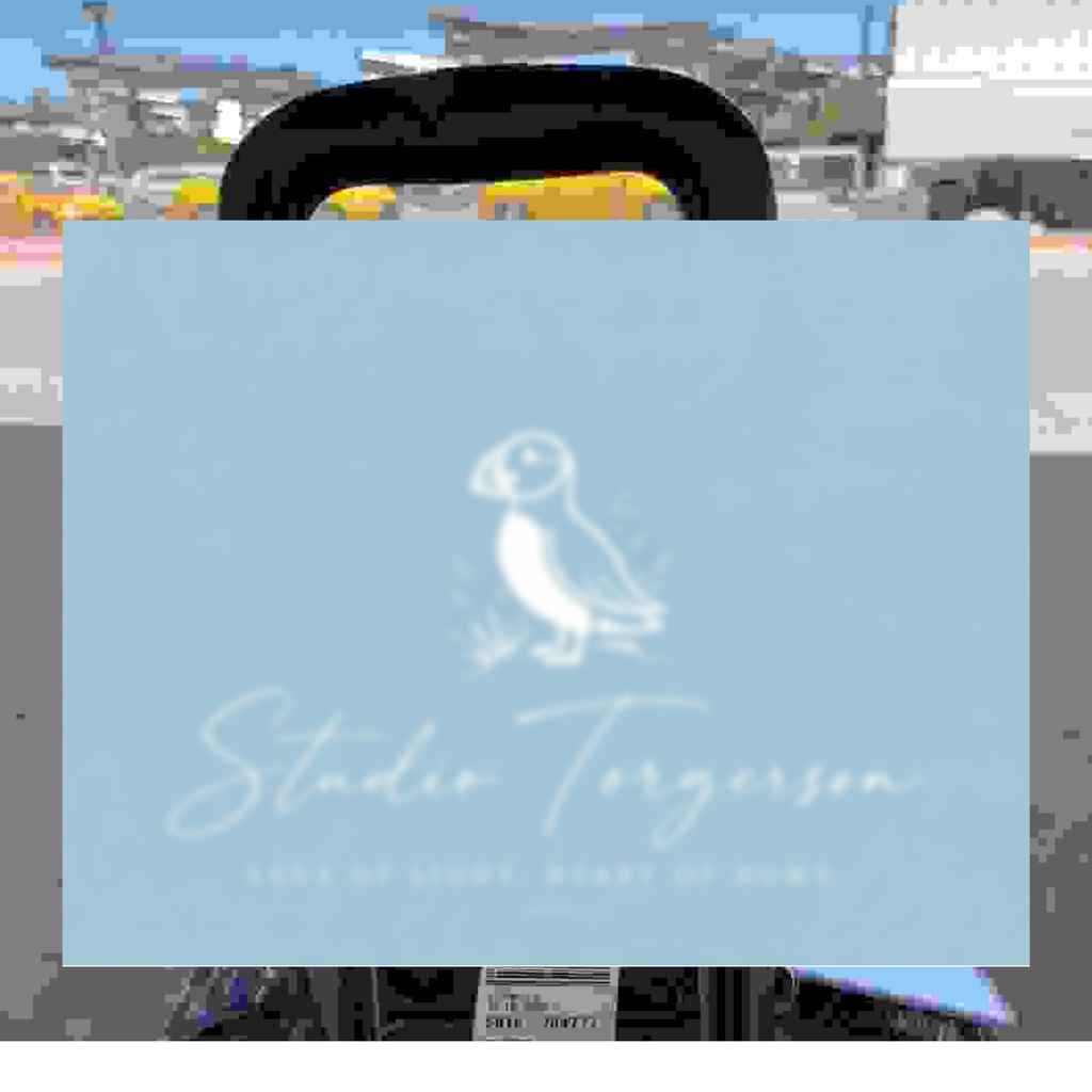 A light blue Studio Torgerson gift bag with a white puffin logo and cursive brand name, held up in front of a blurred outdoor background.