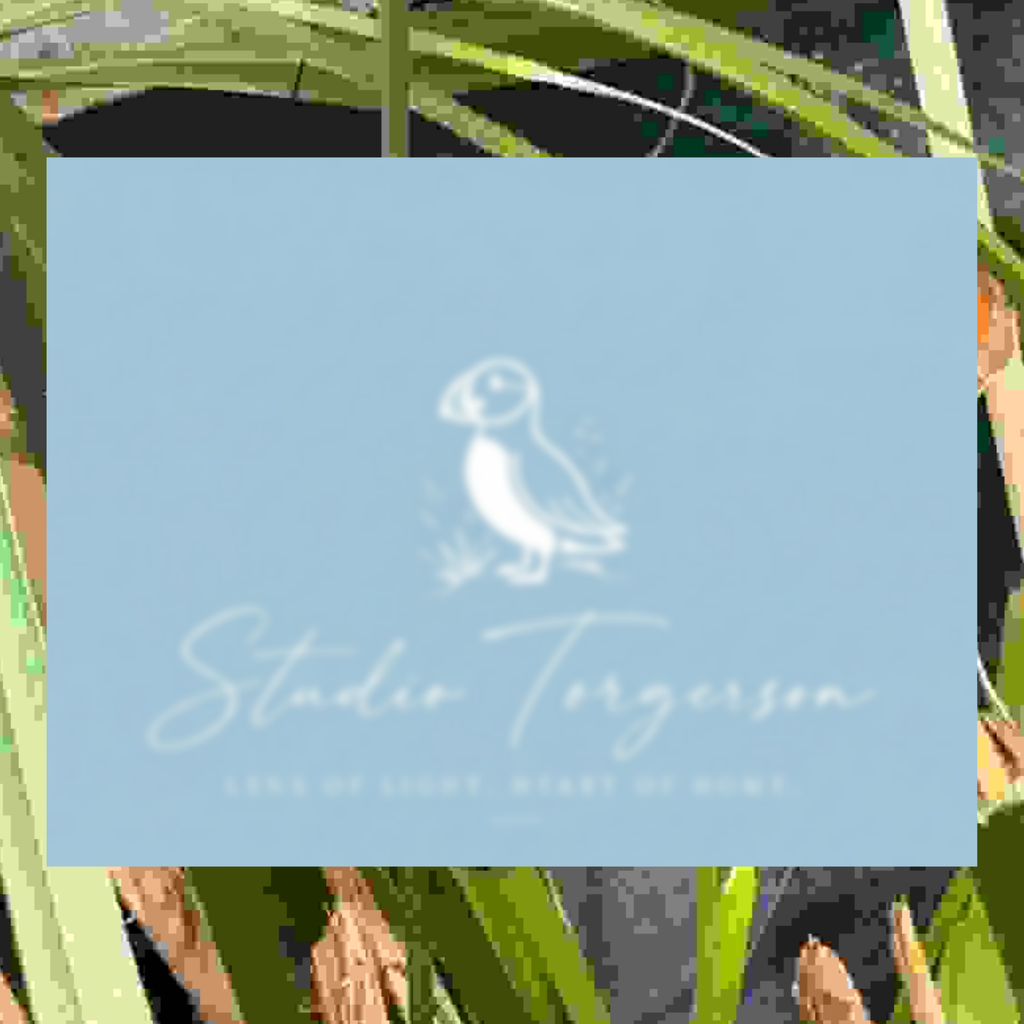 A square light blue card or label featuring a white puffin illustration and the text 'Studio Torgerson' with smaller tagline text, centered over a blurred green and brown natural background.
