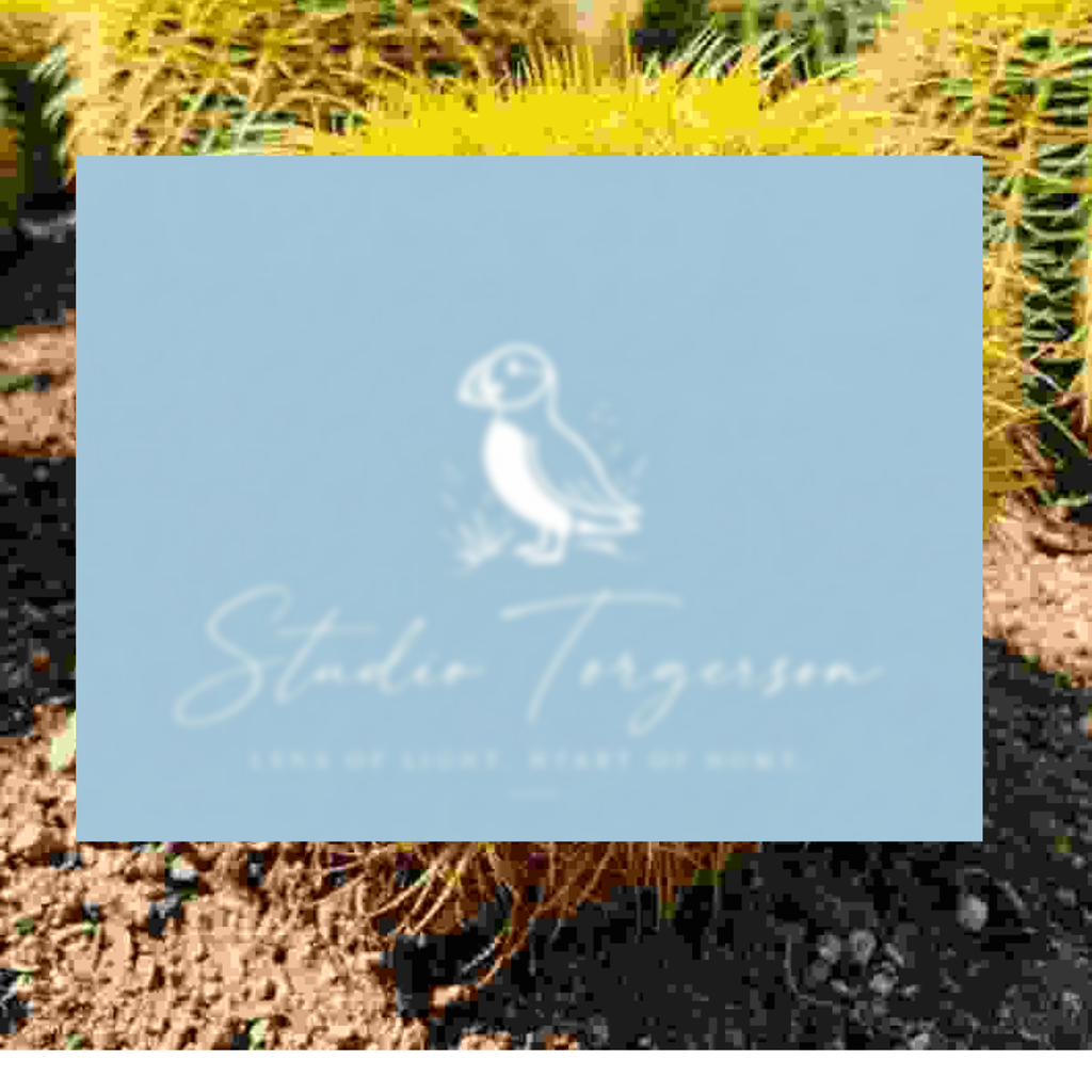 A square light blue card or sign with a white puffin illustration and the text 'Studio Torgersen' and 'Lens of Light, Heart of Norway' is shown against a blurred outdoor background of yellow cacti and dark soil.
