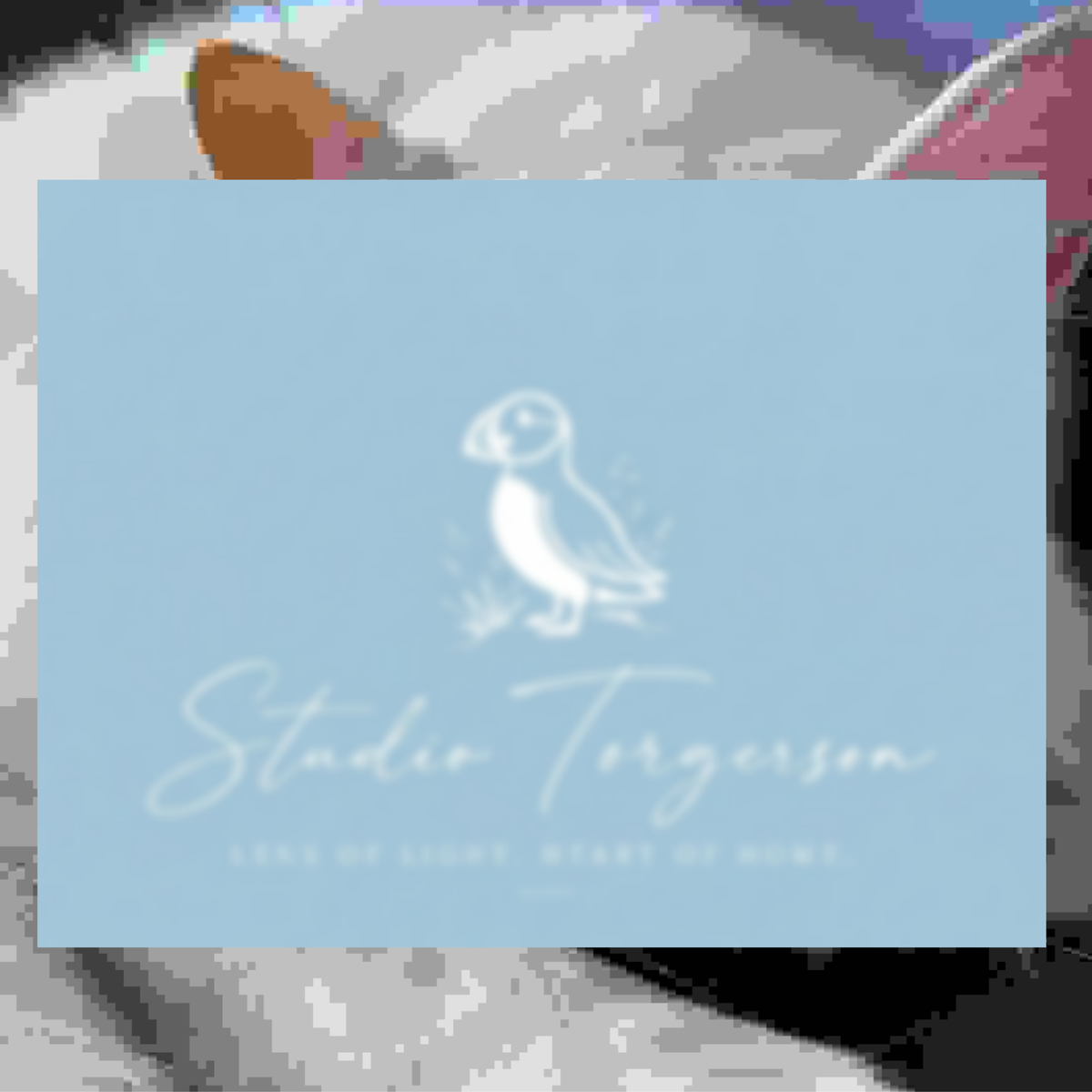 A square light blue card or print featuring a white puffin illustration and the text 'Studio Torgersen' with smaller text below, shown against a softly blurred gray background.