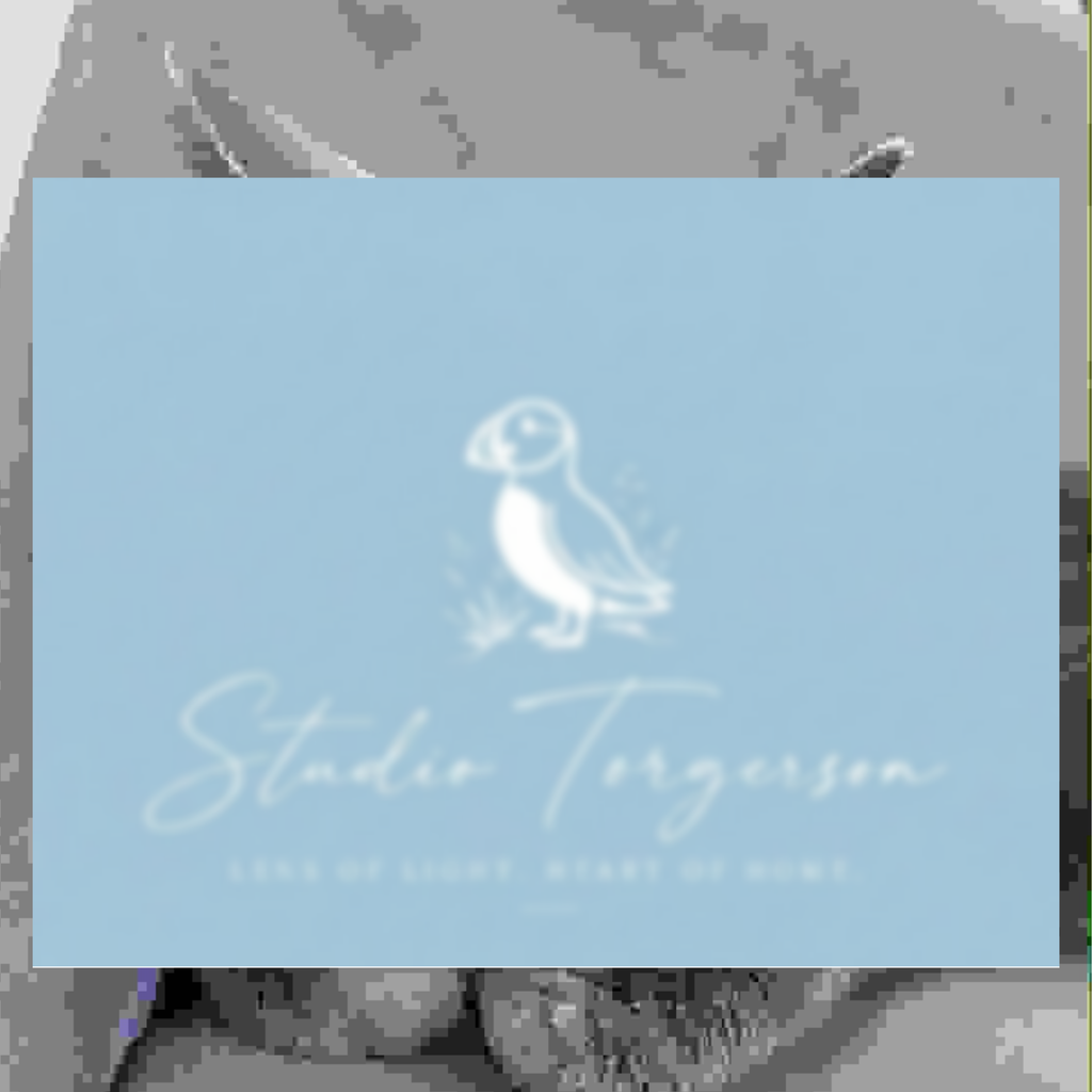 A square light blue card or label with a white line drawing of a bird and the text 'Studio Torgerson' and '2026 of Light, Start of Mind,' shown against a blurred gray background.