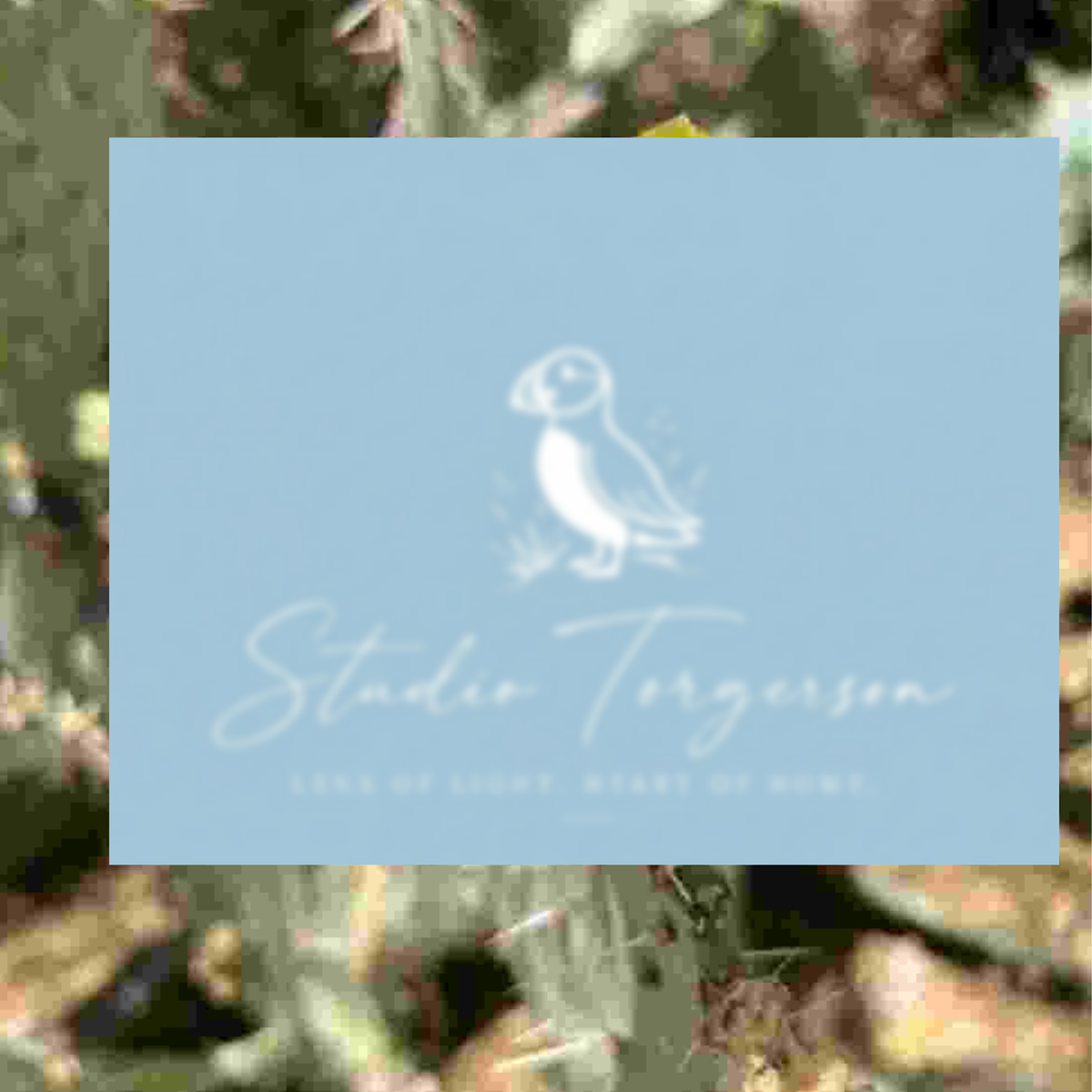 A square light blue card or label with a white puffin illustration and the text 'Studio Torgersen' and 'Less Is Light, More Of Home,' centered over a blurred natural background.