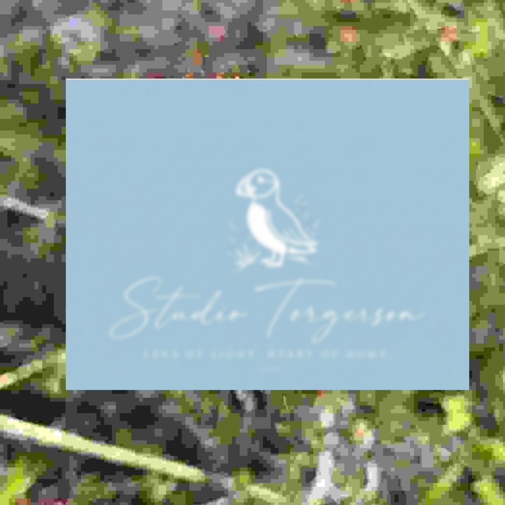 A square light blue card or print featuring a white puffin illustration and the text 'Studio Torgerson' with smaller text 'LIFE OF LIGHT, HEART OR HOME', set against a blurred green and gray outdoor background.