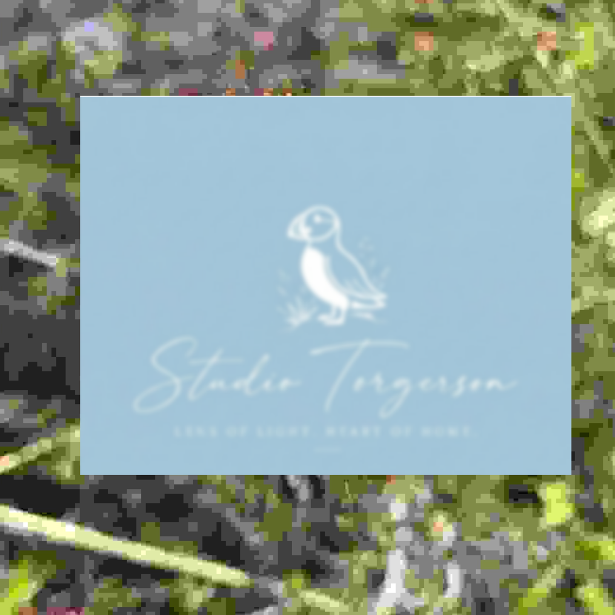A square light blue card or print featuring a white puffin illustration and the text 'Studio Torgerson' with smaller text 'LIFE OF LIGHT, HEART OR HOME', set against a blurred green and gray outdoor background.