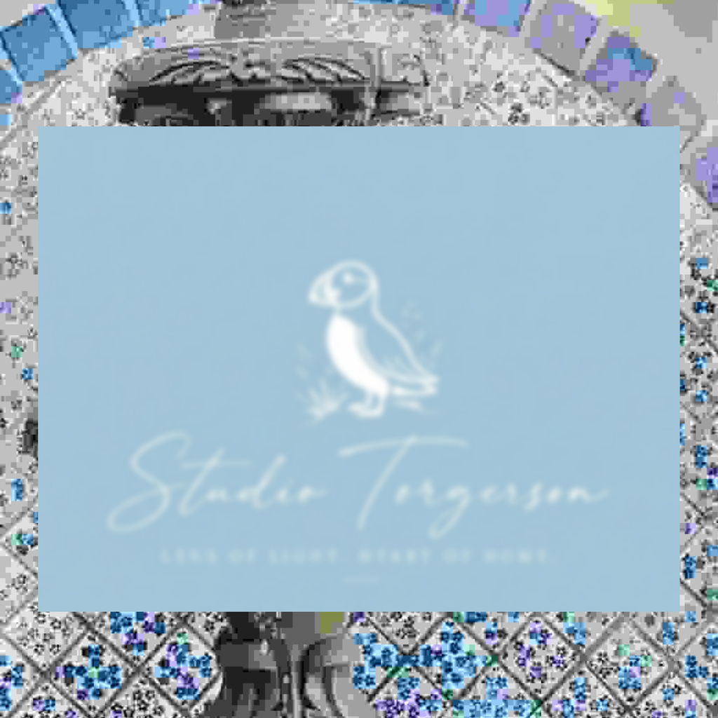 A square light blue card or print featuring a white puffin illustration and the text 'Studio Torgerson' with smaller tagline text beneath, centered over a decorative multicolored tiled background.