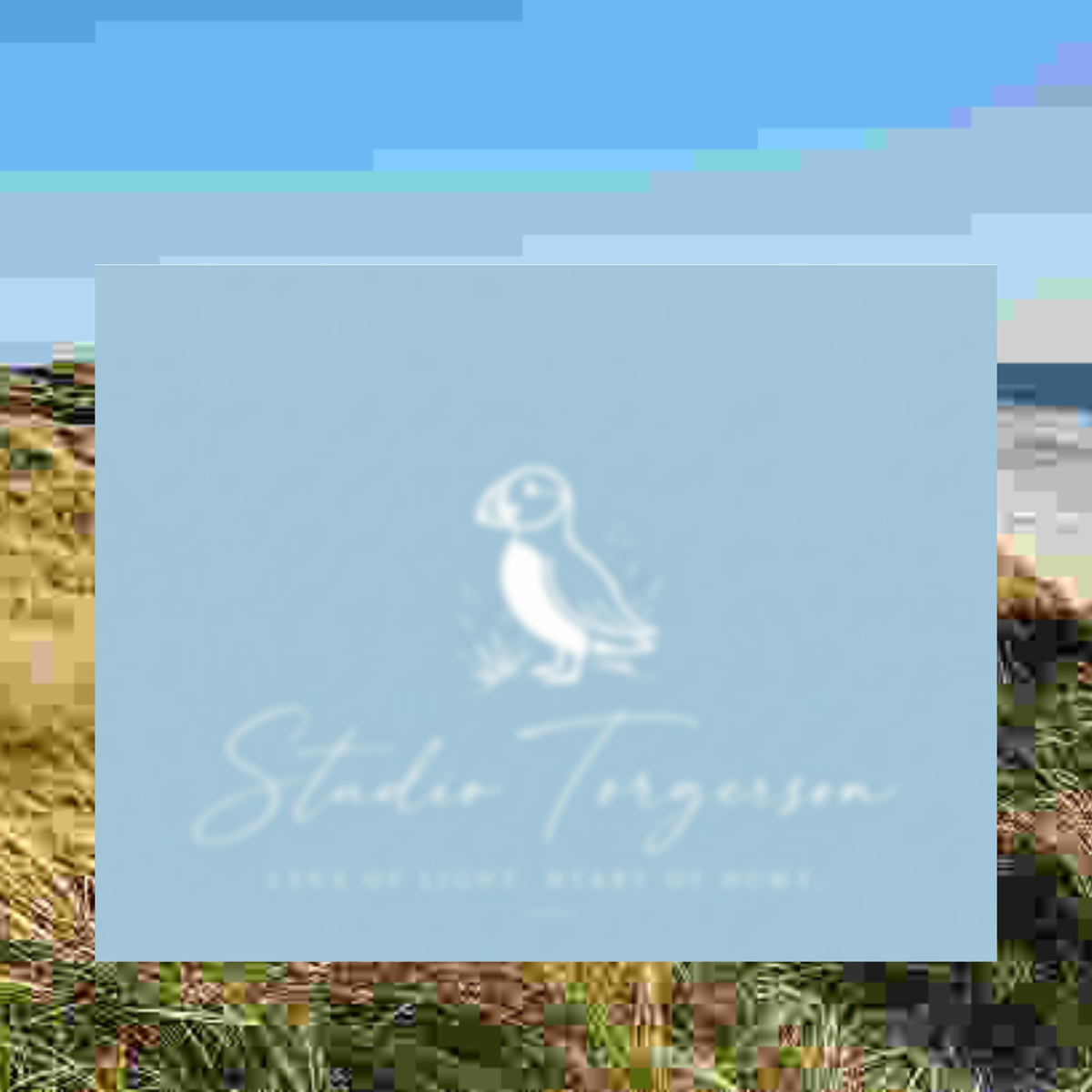 A square light blue card or print with a white puffin illustration and the text 'Studio Torgerson' and 'Lens of Light, Heart of Home,' placed over a blurred outdoor landscape background.