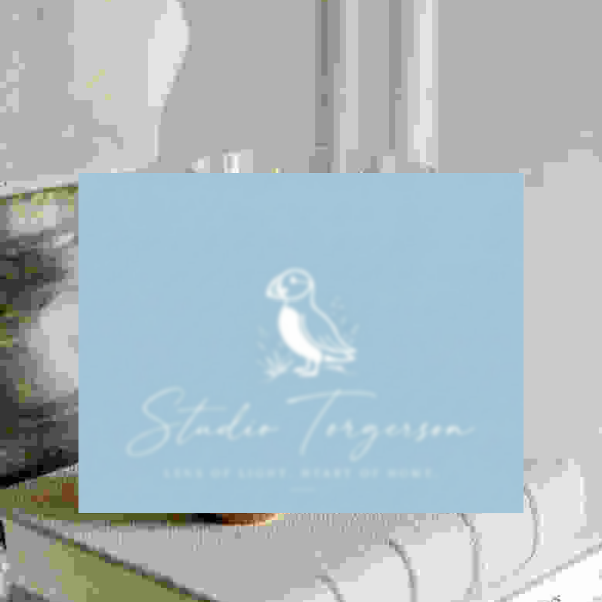 A square light blue card or print featuring a white puffin illustration and the text 'Studio Torgersen' with smaller text below, centered over a blurred gray background.