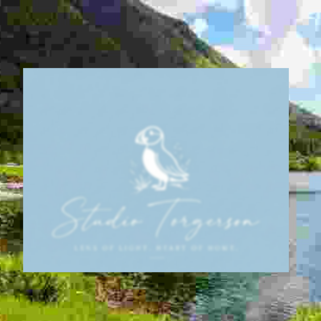 A square light blue card or print featuring a white puffin illustration and the text 'Studio Torgerson' with smaller text below, overlaid on a blurred scenic background of greenery and water.