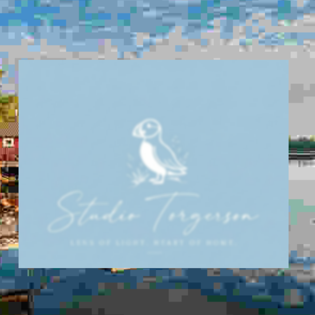 A square light blue card or label with a white puffin illustration and the text 'Studio Torgerson' and 'Lens of Light, Heart of Home' centered on a blurred outdoor background.