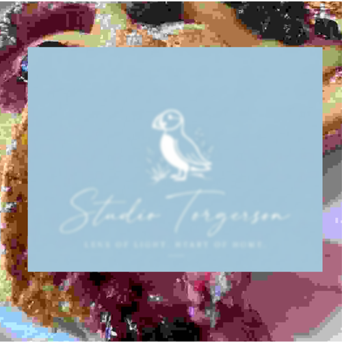 A square light blue card or label with a white puffin illustration and the text 'Studio Torgersen' and 'Loss of Light, Start of Hunt' centered on a colorful abstract background.