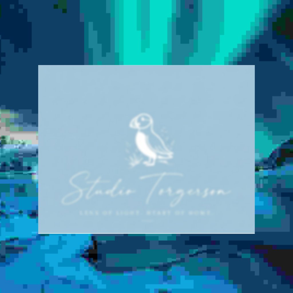 A square light blue card or box centered on a colorful abstract background. The front has a white puffin illustration and the text 'Studio Torgerson' with smaller text below reading 'Lens of Light's Heart of Home'.