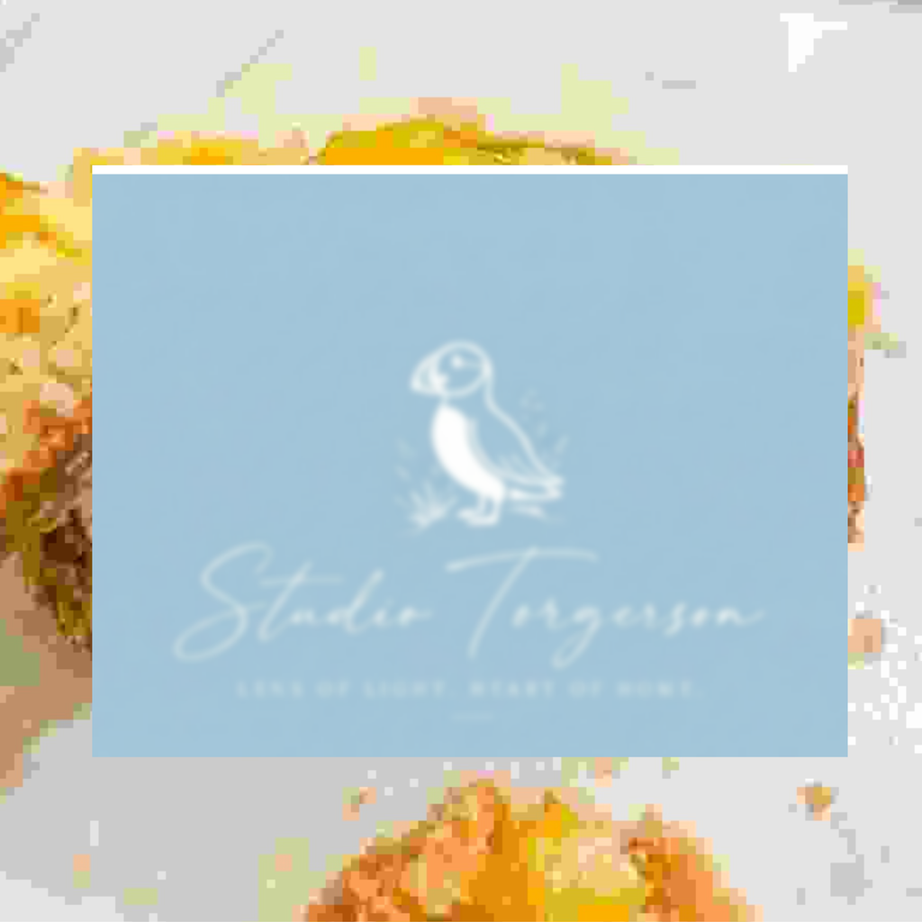 A square light blue card or label with a white puffin illustration and the text 'Studio Torgerson' and 'Lens of Light, Heart of Home', centered over a softly blurred abstract background of warm yellow, orange, and gray tones.