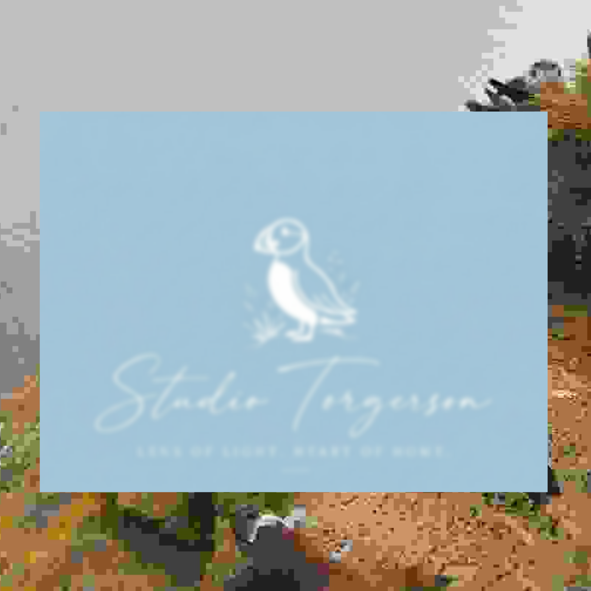 A square light blue card or print featuring a white puffin illustration and the text 'Studio Torgerson' with smaller tagline text, shown against a blurred outdoor background.