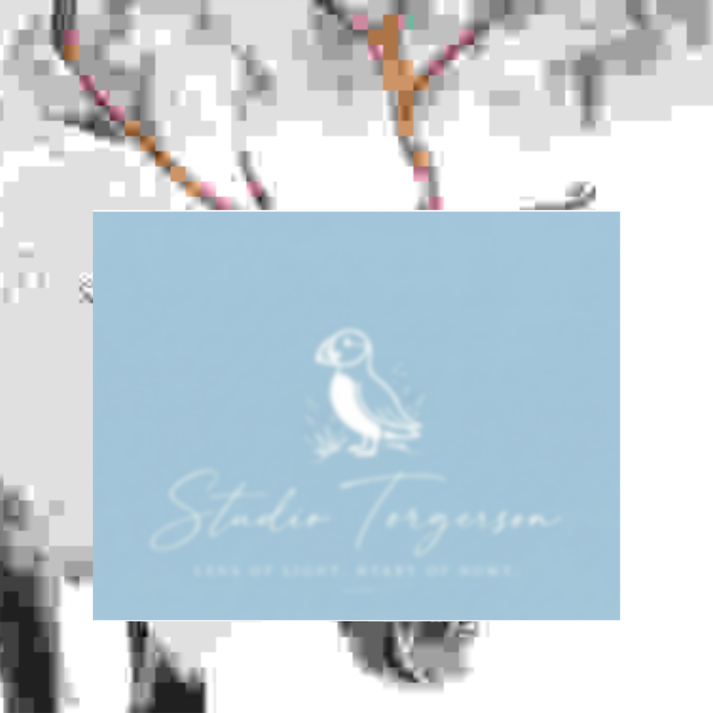 A square light blue card or label with a white puffin illustration and the text 'Stadio Torgerson' and 'LOVE OF LIGHT, HEART OF HOME.' centered on a white background with faint gray branch-like graphics.