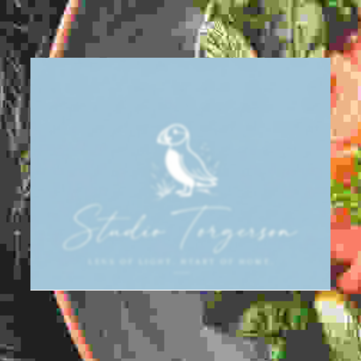 A square light blue card or print featuring a white puffin illustration and the text 'Studio Torgerson' with smaller wording beneath, centered over a blurred multicolor background.