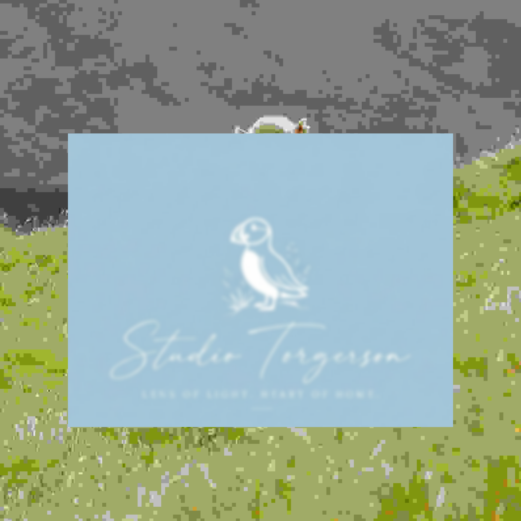 A square light blue card or print with a white puffin illustration and the text 'Studio Torgerson' and 'Lens of Light, Heart of Home' centered on a blurred outdoor background of green grass and gray sky.