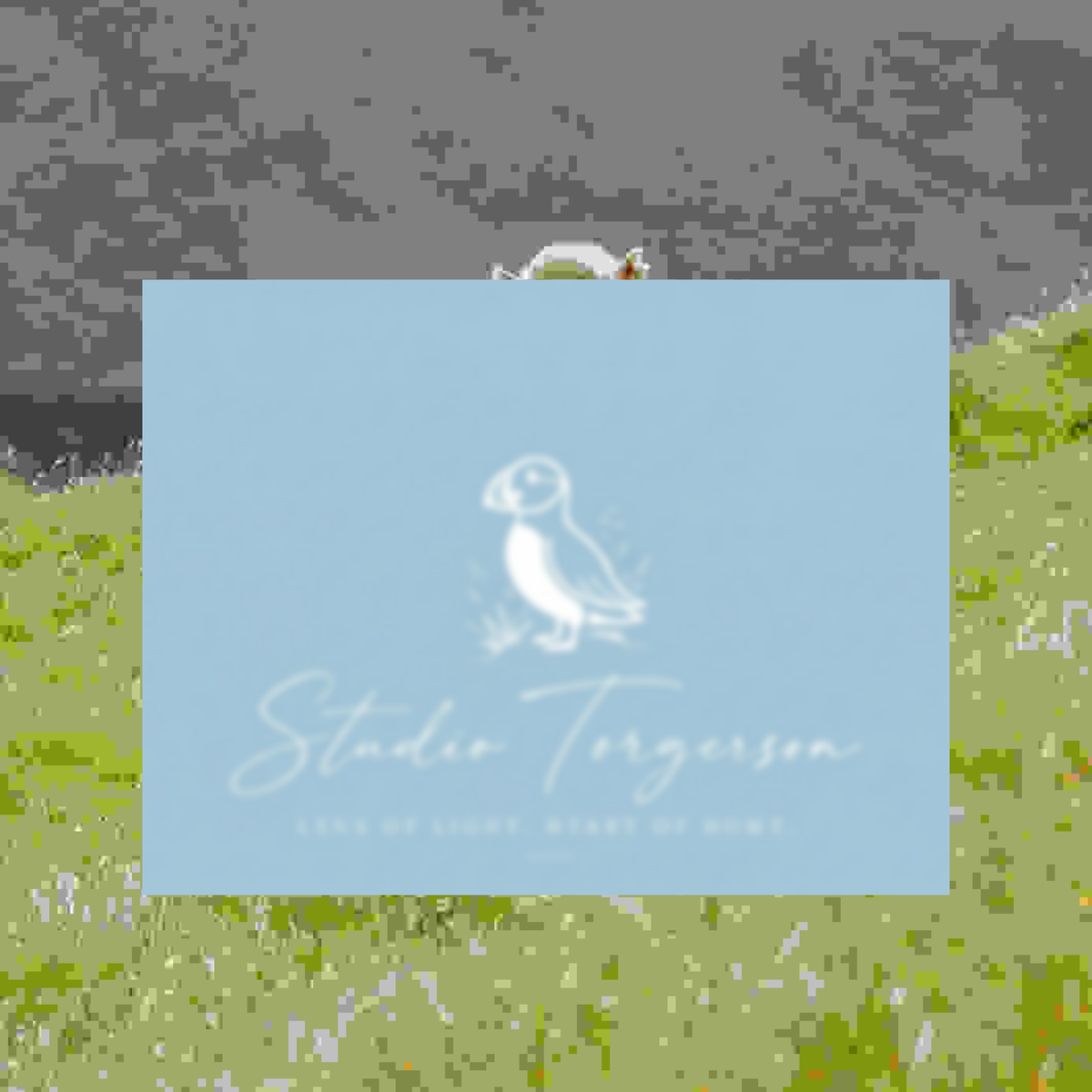 A square light blue card or print with a white puffin illustration and the text 'Studio Torgerson' and 'Lens of Light, Heart of Home' centered on a blurred outdoor background of green grass and gray sky.