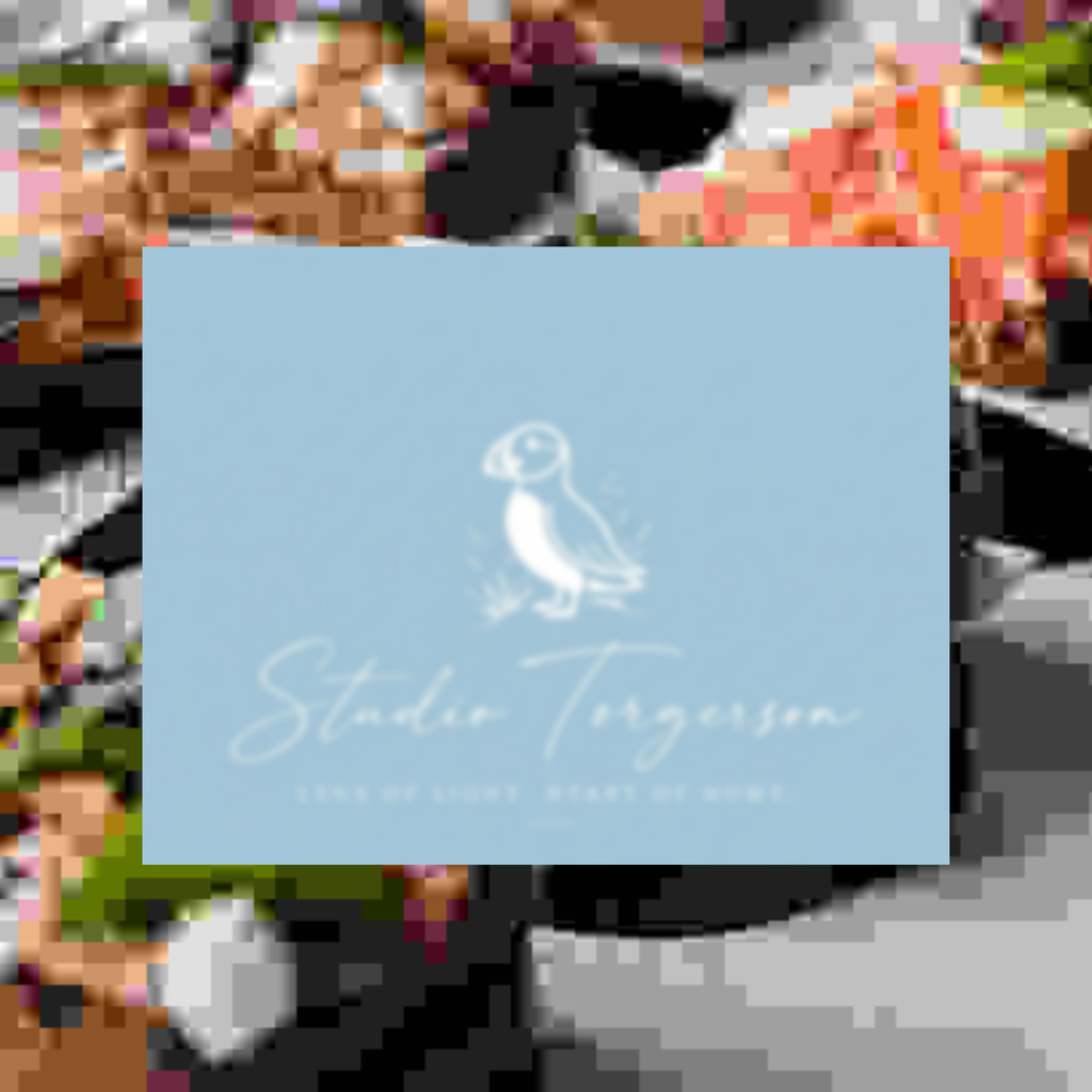 A square light blue card or label with a white puffin illustration and the text 'Studio Torgerson' and 'Lens of Light, Heart of Home' placed over a blurred multicolor background.