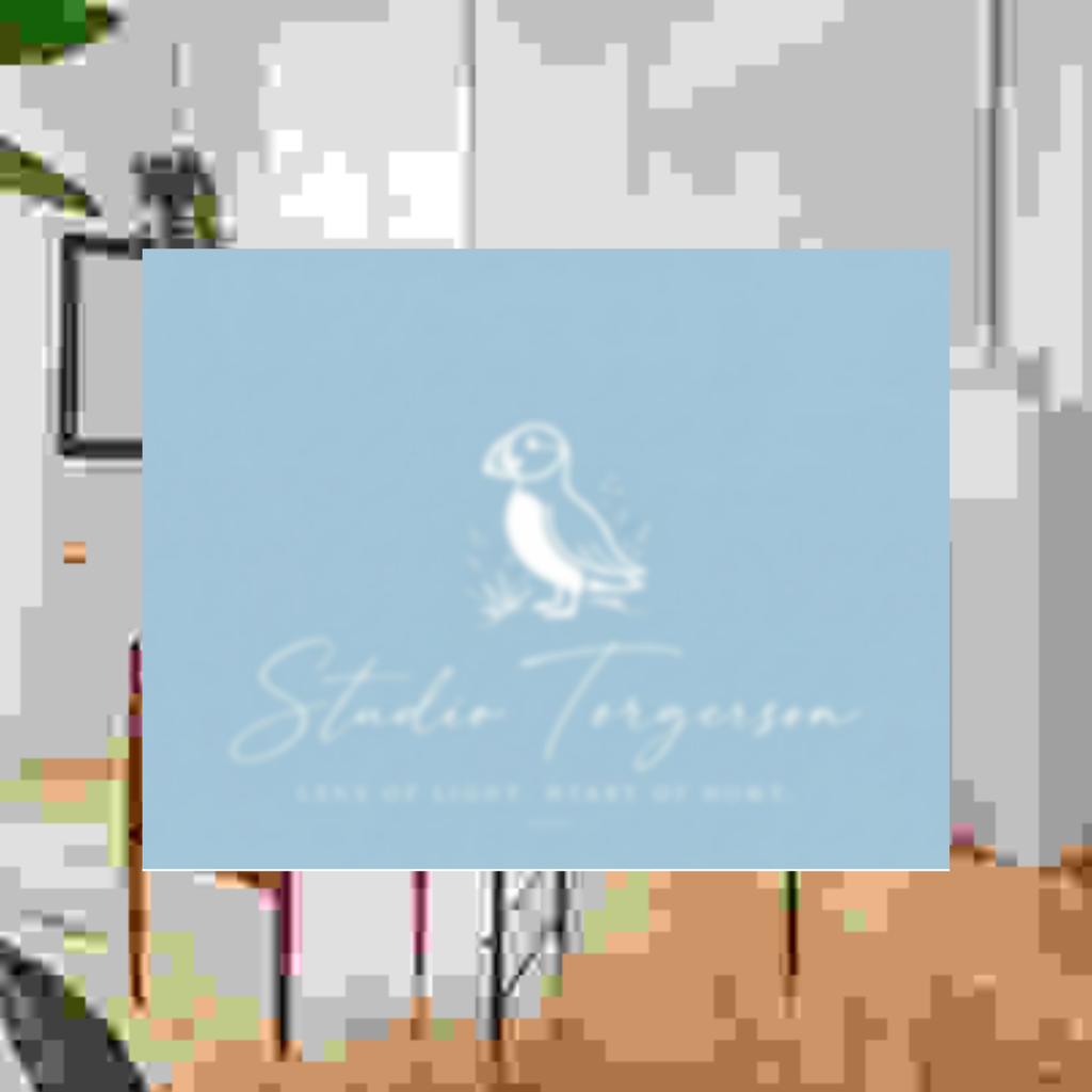 A square light blue card or print with a white penguin illustration and the text 'Studio Torgerson' and 'Lens of Light, Heart of Home' centered on a blurred indoor background.