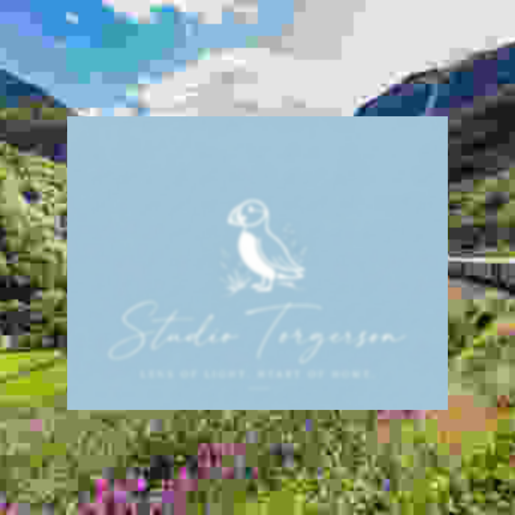 A square light blue card or label with a white puffin illustration and the text 'Stadio Torgerson' and 'Lens of Light's Heart of Mine' centered over a blurred multicolored outdoor background.