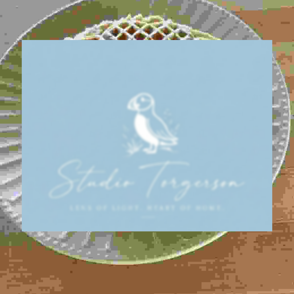 A square light blue card or print featuring a white puffin illustration and the text 'Studio Torgerson' with smaller tagline text below, shown over a blurred circular plate-like background.