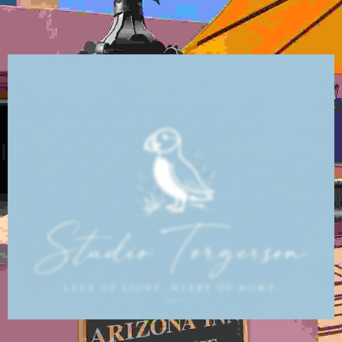 A square light blue card or label centered on a colorful, abstract background. The card features a white line drawing of a bird and the text 'Studio Torgerson' with smaller text below reading 'Lens of Light, Heart of Home.